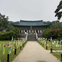 바다가 보이는 절, 낙산사🪷🌊