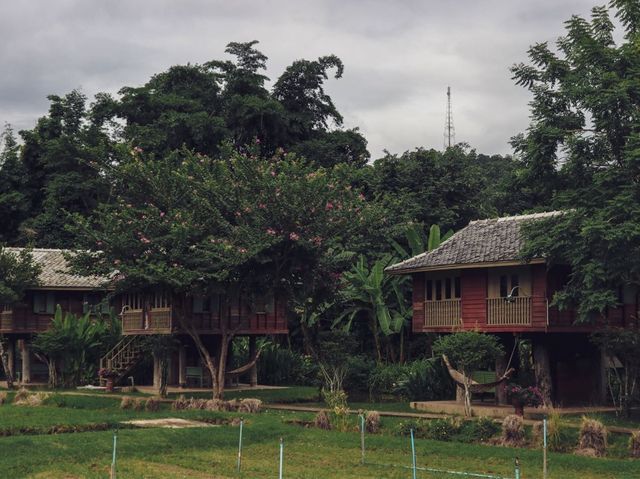 หลองข้าวสะเมิง ในวันที่ชีวิตอยากใกล้ชิดธรรมชาติ