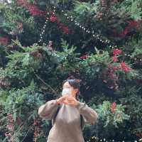 트리가 예쁜 곳 🎄 ‘현대백화점’