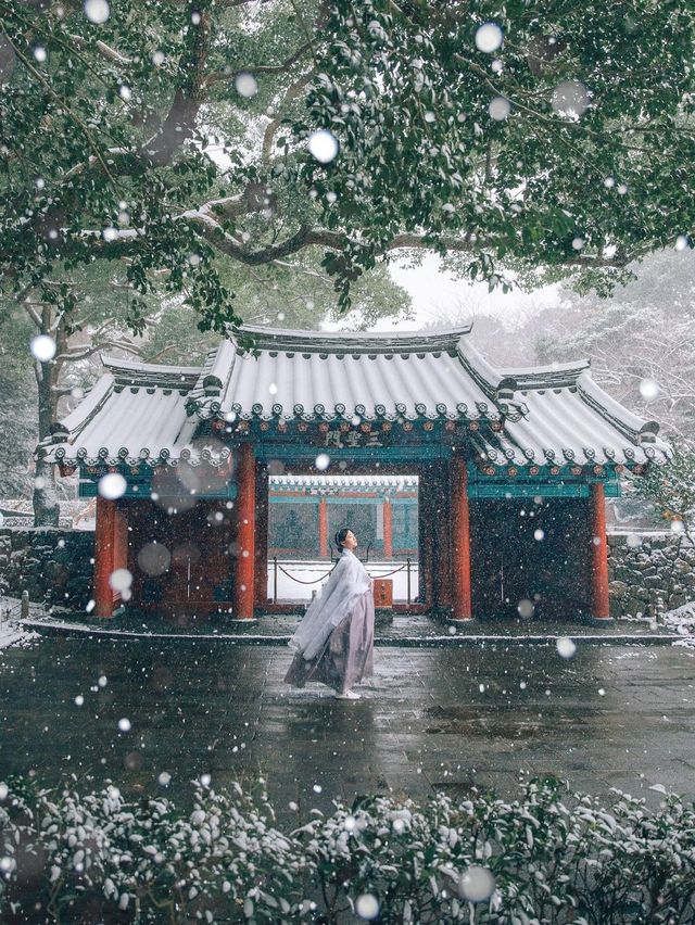 제주에 눈이 내리면 제일 먼저 달려가야 할 곳☃️
