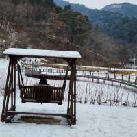 설경이 멋진 수타사의 겨울