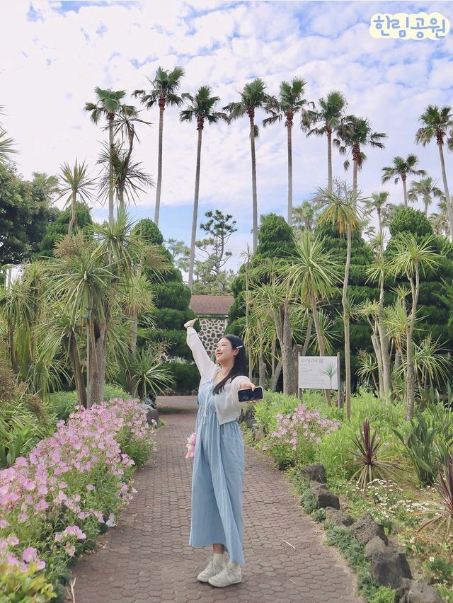 🏝️ 저장 안하면 후회하는 제주 서쪽 여행지_zip