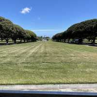 Waikiki trolley tour