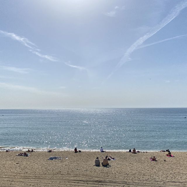 바르셀로네타 해변의 청량한 오션뷰🏖