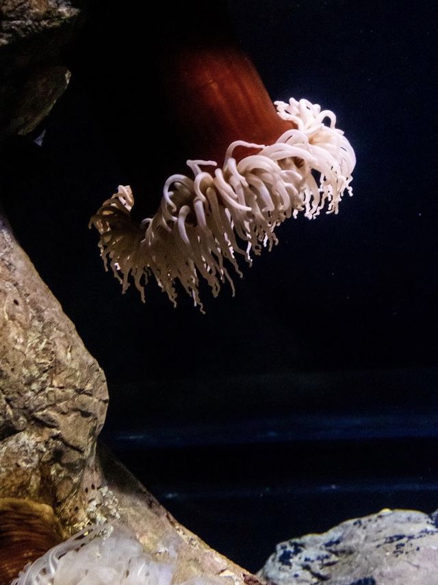 Largest Indoor Aquarium in Europe