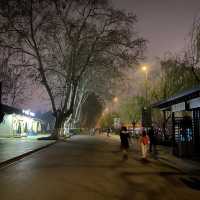 Xuanwu Lake @ Night