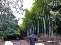 京都嵐山竹林之道