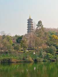 Chongqing Garden Expo Park is now free of charge! Come and enjoy for free!