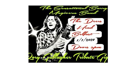 Rory Gallagher Tribute Gig | The Deer's Head
