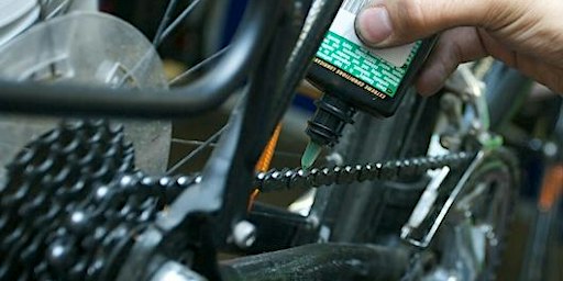 Introduction to Bicycle Maintenance 2024 | Icycle Sports