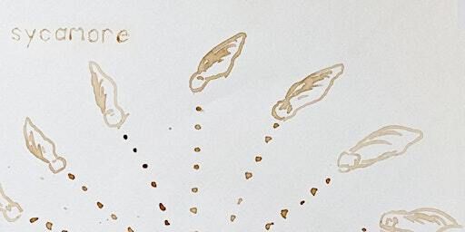 Library talk / workshop : The Urban Tree Oracle: Sycamore Time at MassArt | Evans Way