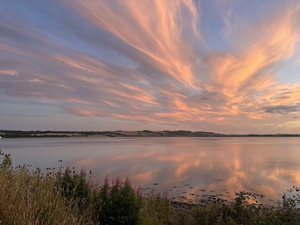 Summer Solstice Walk | Montrose Basin - Old Mill car park
