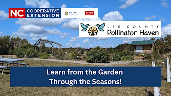 Free Public Tour of the Pollinator Haven Garden- July 2025 | 2420 Tramway Rd