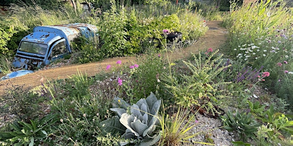 Habitat creation and creative maintenance workshop at Hilldrop | Hilldrop