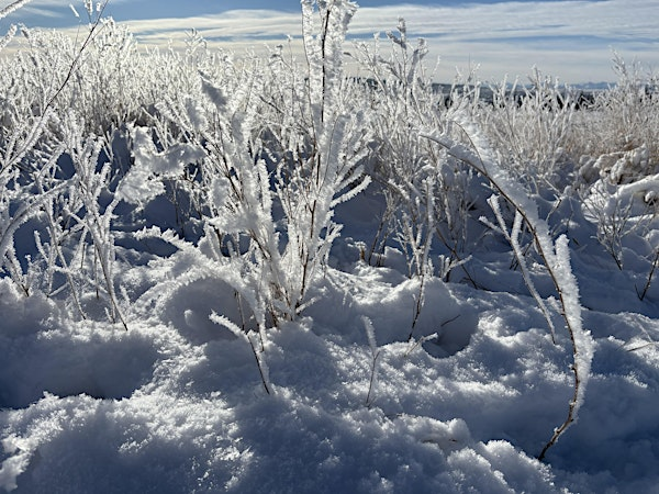 Winter Wellness Retreat ~ Restore and Reconnect in Nature | Ann & Sandy Cross Conservation Area