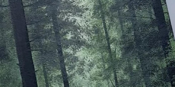 Paint & Sip - 100 Acre | 100 Acre Brewing Co.