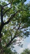 잠시머뭄