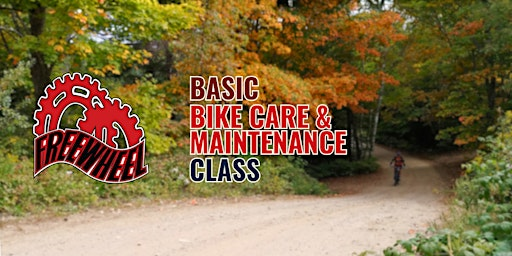 Basic Bike Care & Maintenance | Freewheel Cycle