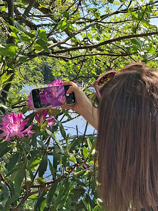 Phone Photography Walk . JULY | Golden Acre Park