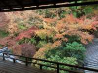 【京都】紅葉の名所♪瑠璃光院でみる絶景