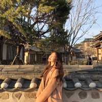 내 인생드라마, 미스터션샤인 촬영지 선샤인랜드 🌞 