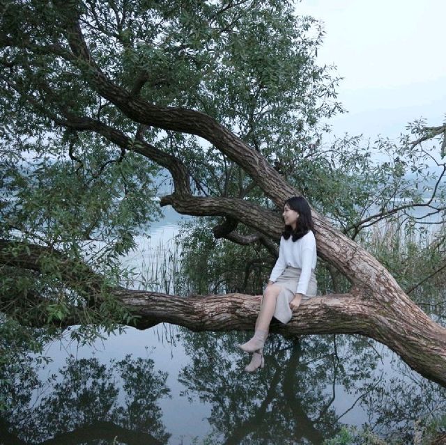 남양주 피크닉장소 '물의정원'