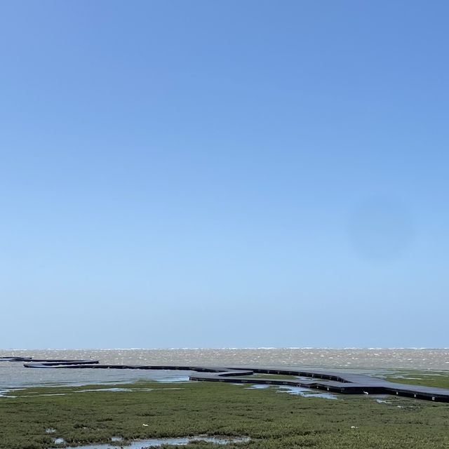 高美濕地｜巧遇漲潮，木棧橋差點消失