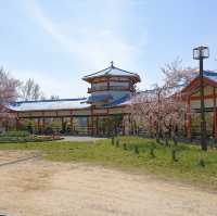 河内長野公園で遊ぼう！