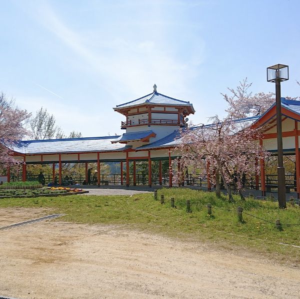 河内長野公園で遊ぼう！