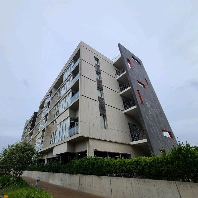 휘닉스 제주 섭지 코지