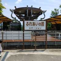 きりんへの給餌体験ができる！姫路セントラルパーク