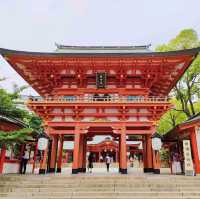 【兵庫県 神戸市】生田の森、生田神社✨✨