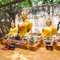 โบสถ์ร้างในต้นโพธิ์ วัดสังกระต่าย Unseen อ่างทอง
