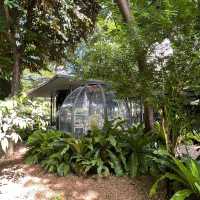 Hidden greens in middle of Bangkok city