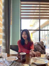 프로방스 마을 💡 파주 핫플