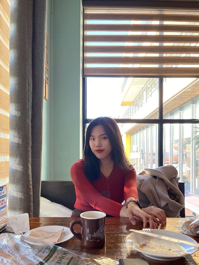 프로방스 마을 💡 파주 핫플