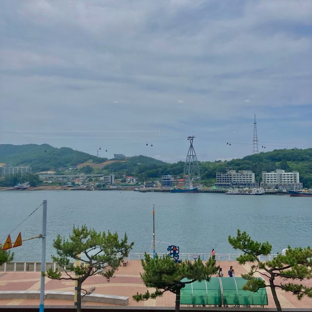 여수 해양공원 최고의 뷰 카페 하이마레