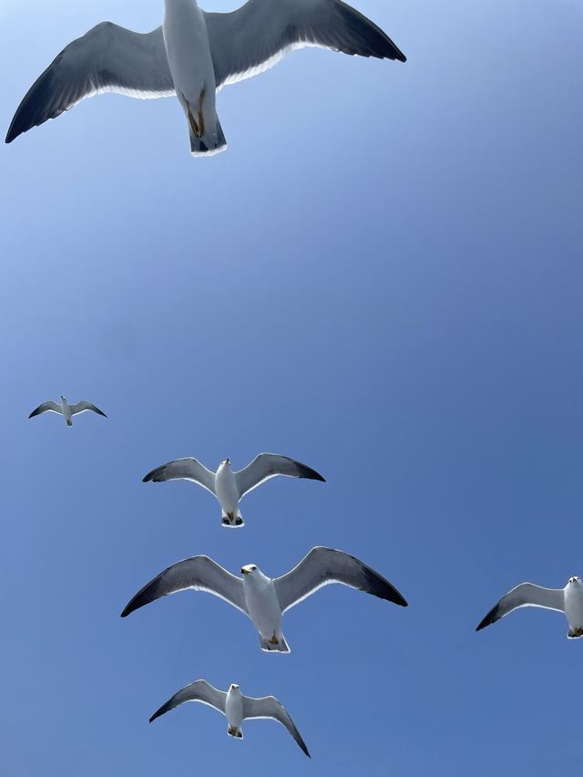 거제도