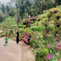 Traditional Hmong Village with Waterfalls