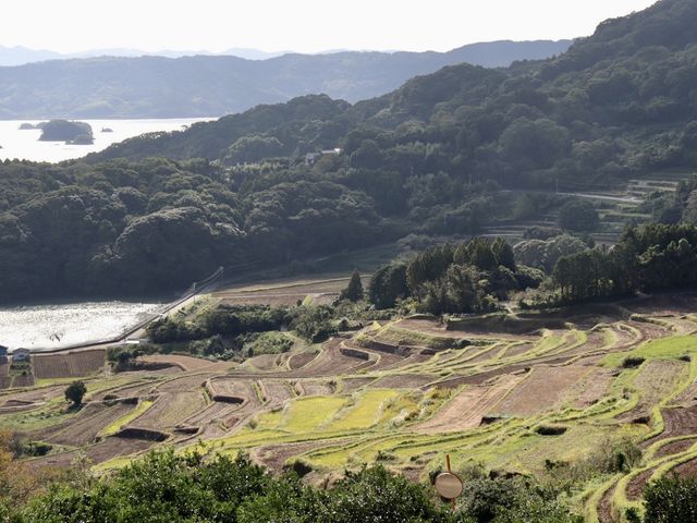 【佐賀】棚田百選！大浦の棚田をご紹介