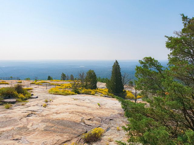 케이블카 타고 스톤 마운틴🪨⛰️