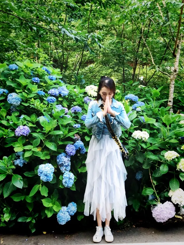 繍球花季景點 杉林溪森林遊樂園