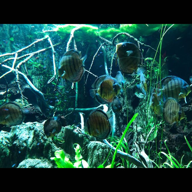 พามาเที่ยว New York Aquarium ค่ะ