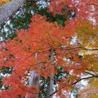 岩手県！紅葉と中尊寺の松尾芭蕉像