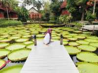 BUA PHUKET 