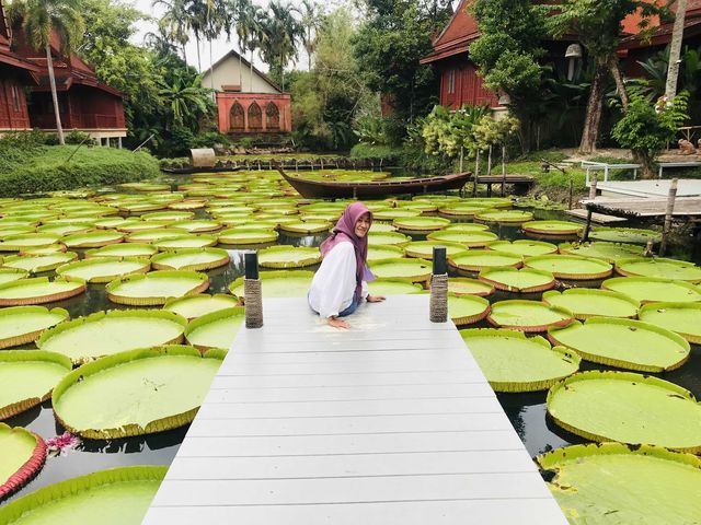 BUA PHUKET 
