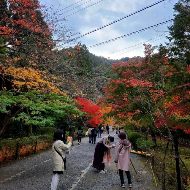 紅葉の名所【二尊院】✨