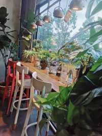 greenery-filled cafe♨️KNOTS♨️