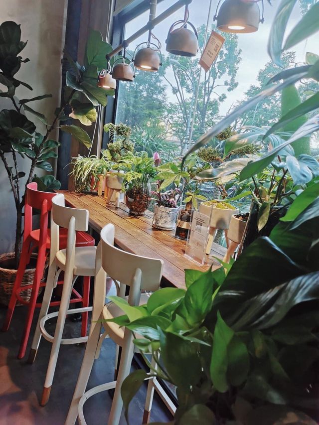 greenery-filled cafe♨️KNOTS♨️