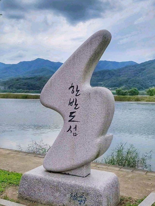 강원도 양구 파라호 꽃섬은 예뻤다🌸
